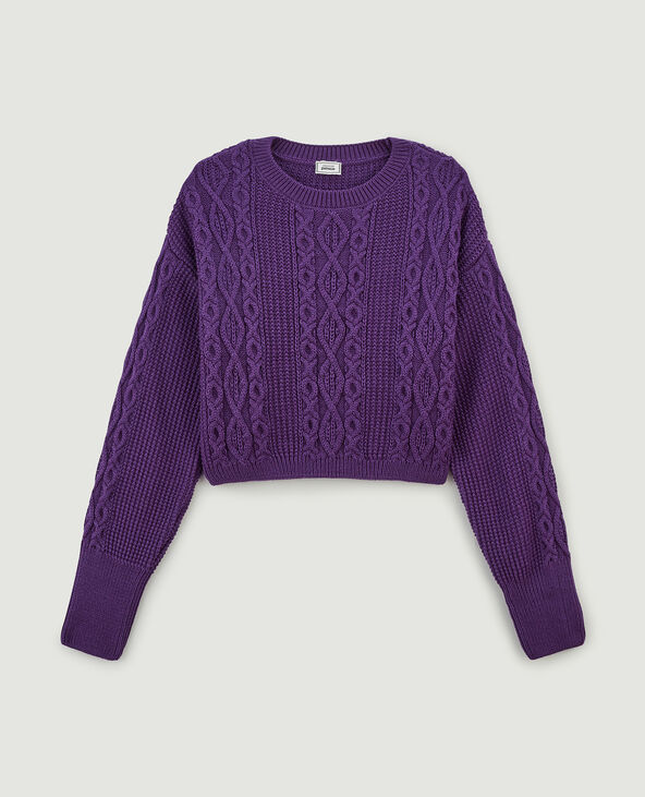 Pull cropped en maille fantaisie violet - Pimkie