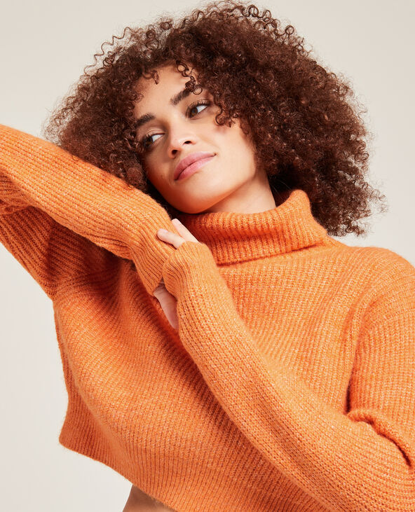 Pull col roul cropped