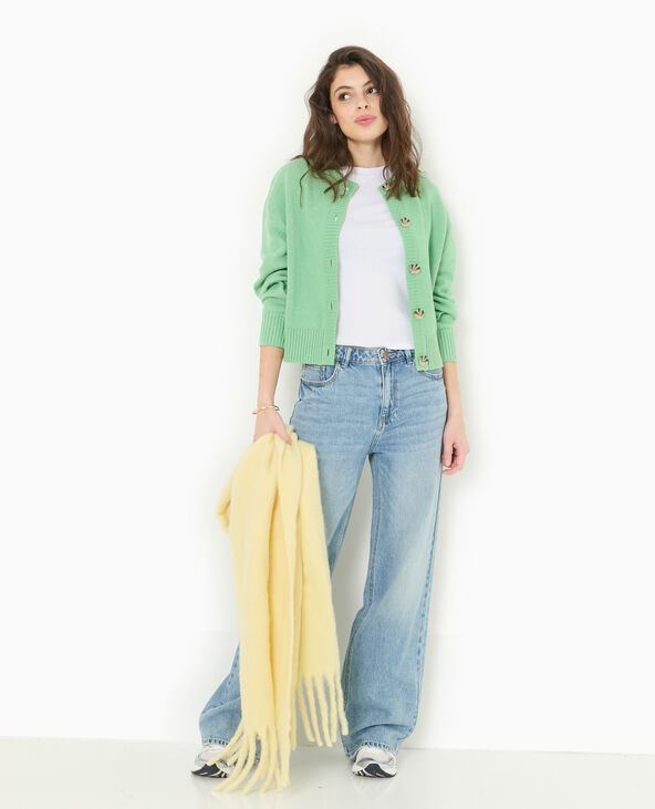 Gilet col rond avec gros boutons vert - Pimkie