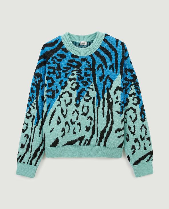 Pull motif léopard fantaisie bleu - Pimkie