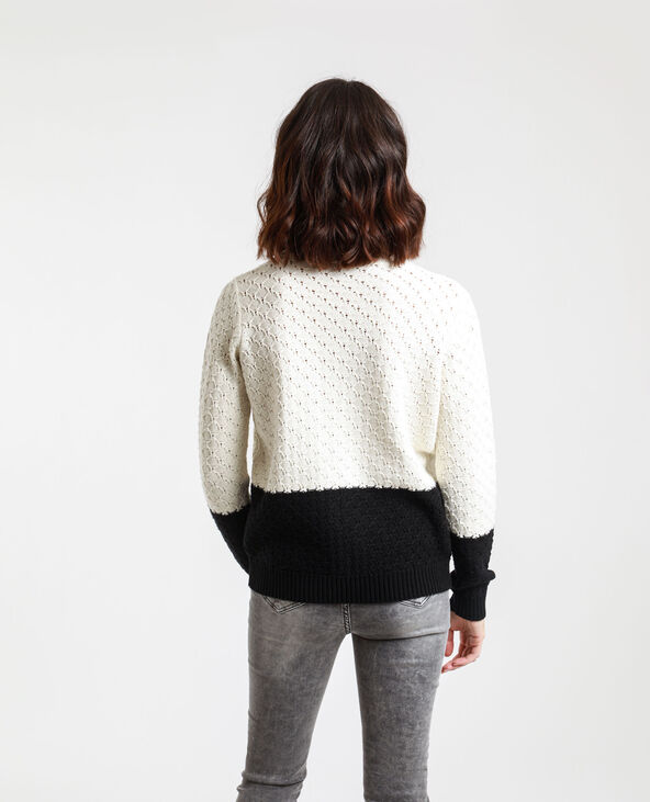 Pull bicolore blanc - Pimkie