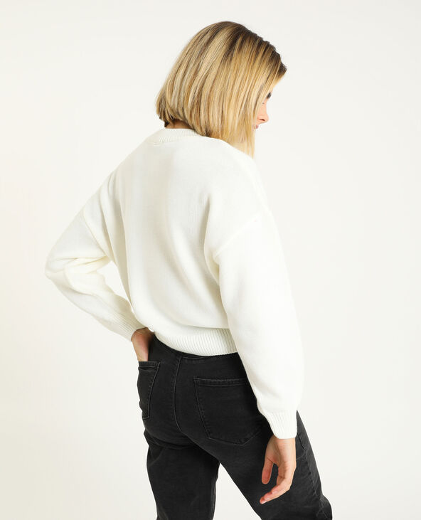 Pull de Noel
