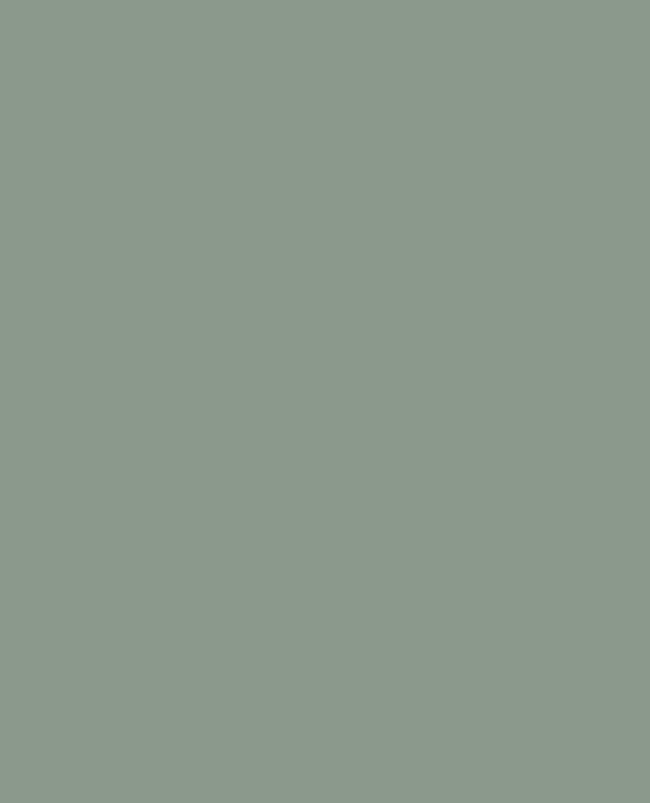 Lot de 2 paires de chaussettes fines vert - Pimkie