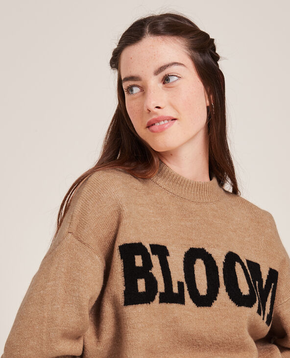 Pull en maille avec inscription beige - Pimkie