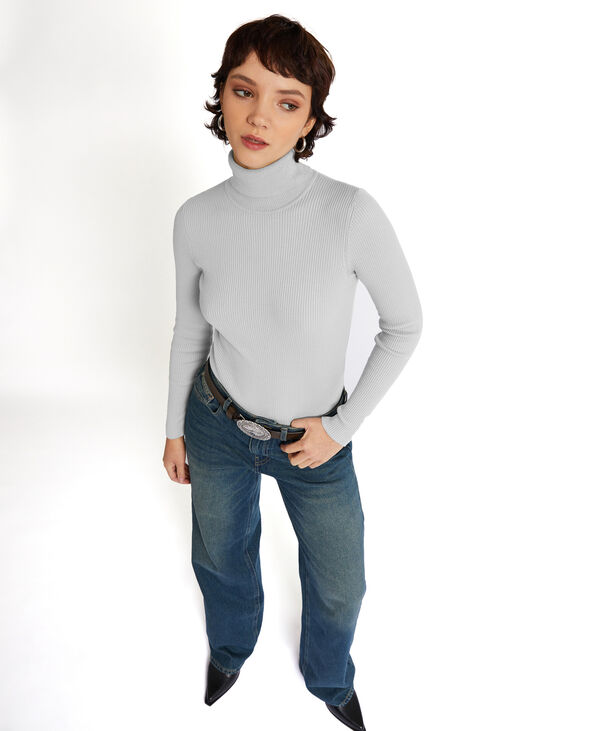 Pull à col roulé court Gris pâle - Pimkie