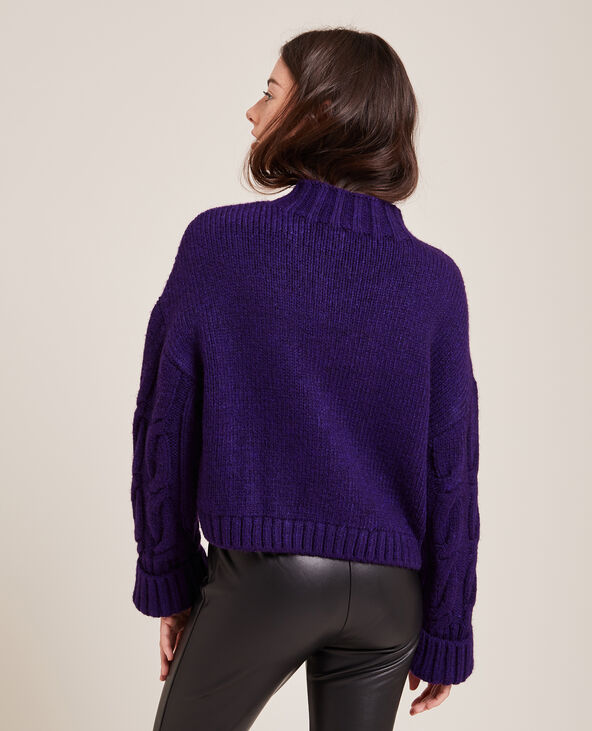Pull maille fantaisie col montant violet - Pimkie