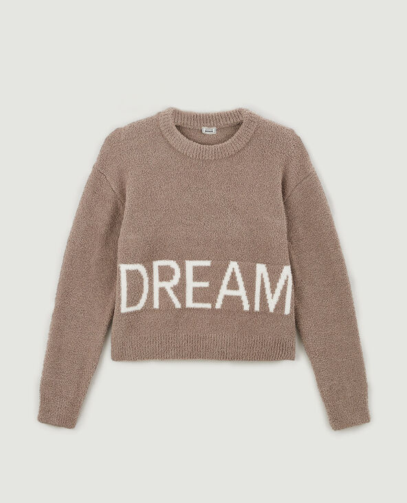Pull doux gris clair - Pimkie