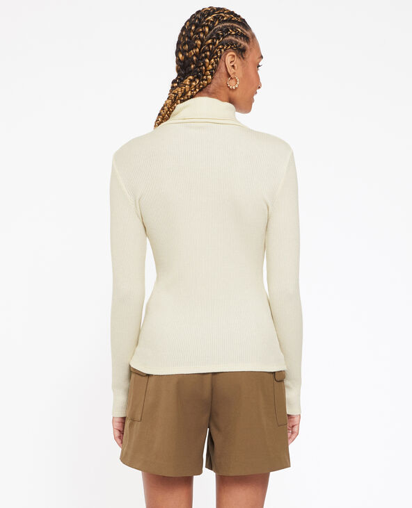 Pull fin col roulé maille côtelée beige - Pimkie