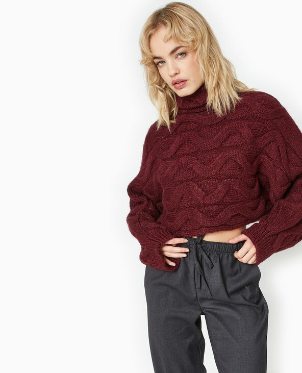 Pull cropped col roulé et manches chauve-souris bordeaux - Pimkie