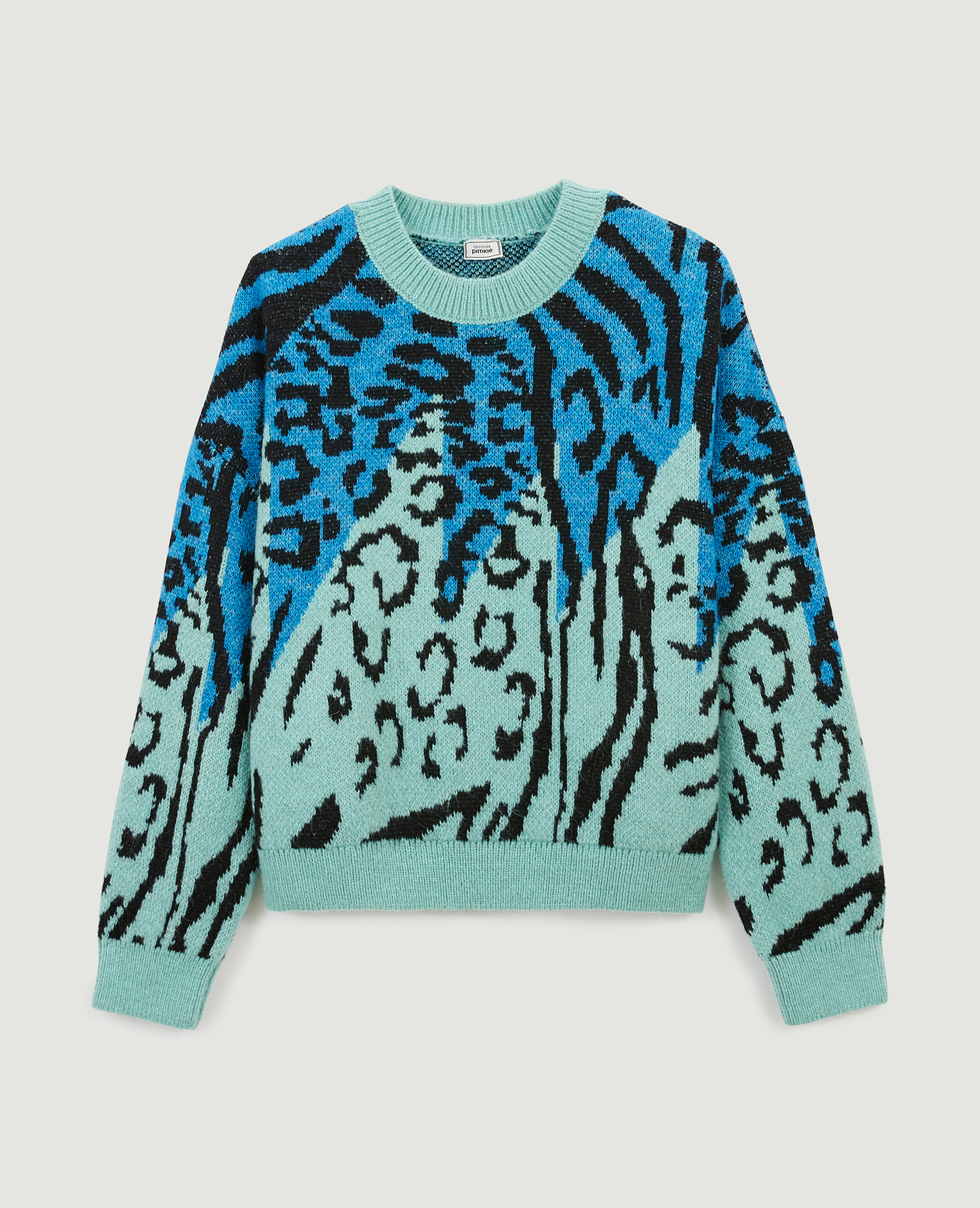 Pull motif léopard fantaisie bleu - Pimkie